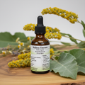 Mullein Tincture Product Image